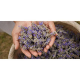Lavender Essential Oil 100% Pure Therapeutic Grade Aromatherapy, Perfume-Cedar Creek Essentials